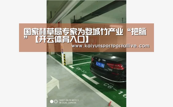 KAIYUN中国站