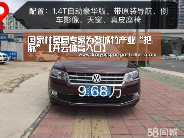 开云体育入口